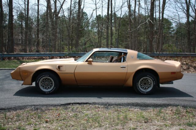 1979 Pontiac Trans Am - photo 4
