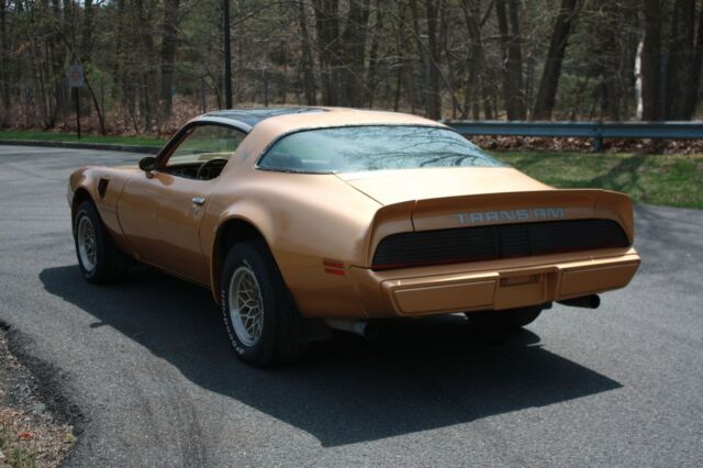 1979 Pontiac Trans Am - photo 5