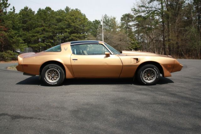 1979 Pontiac Trans Am - photo 7