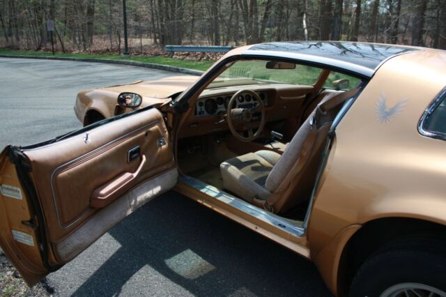 1979 Pontiac Trans Am - photo 9