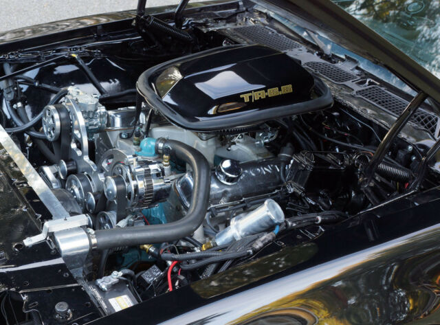 1979 Pontiac Trans Am WS 6 - photo 11