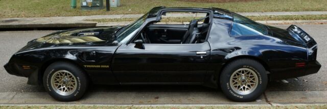 1979 Pontiac Trans Am WS 6 - photo 3