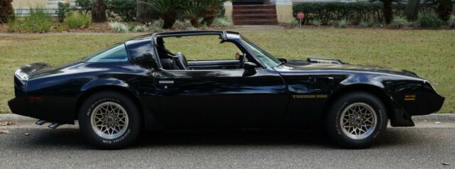 1979 Pontiac Trans Am WS 6 - photo 4