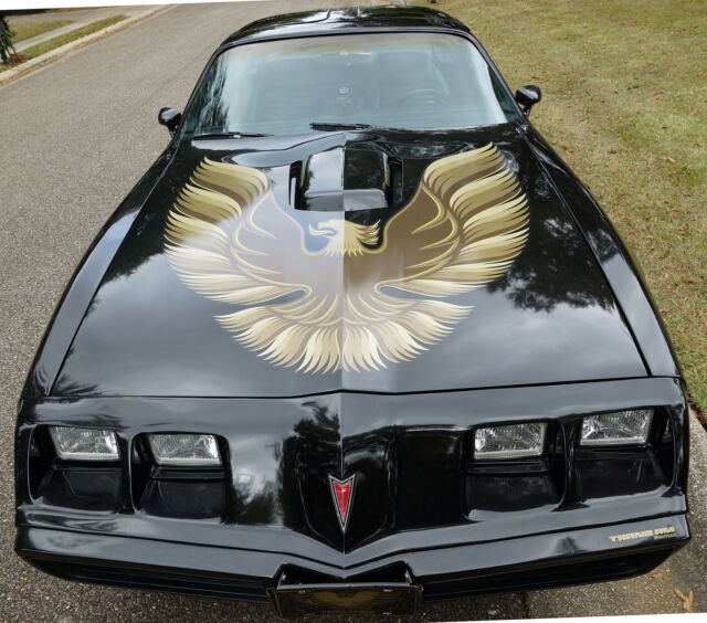 1979 Pontiac Trans Am WS 6 - photo 8