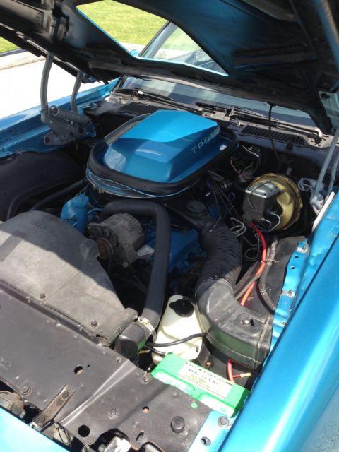 1979 Pontiac Trans Am - photo 13