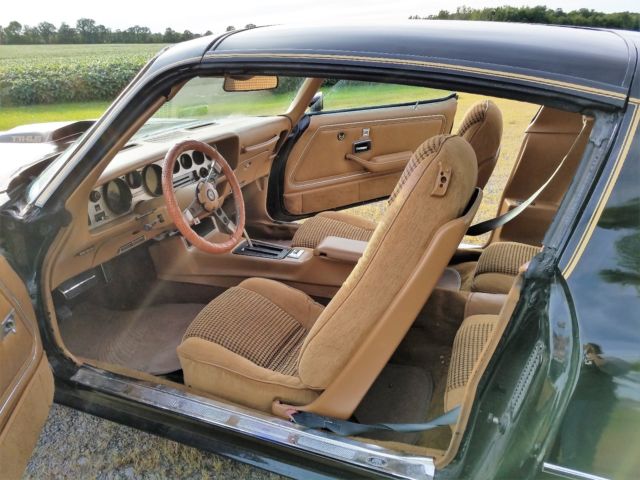1979 Pontiac Trans Am - photo 10