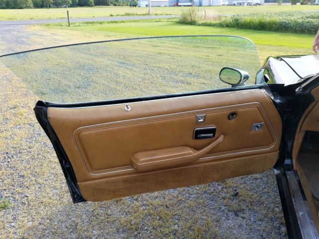 1979 Pontiac Trans Am - photo 11