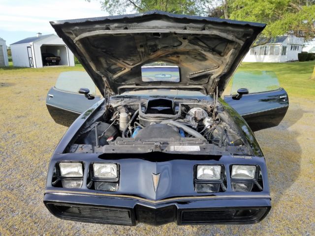 1979 Pontiac Trans Am - photo 12