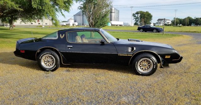 1979 Pontiac Trans Am - photo 3