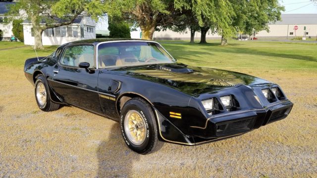 1979 Pontiac Trans Am - photo 4