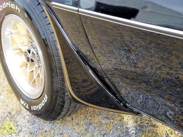 1979 Pontiac Trans Am - photo 5