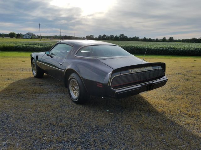1979 Pontiac Trans Am - photo 6