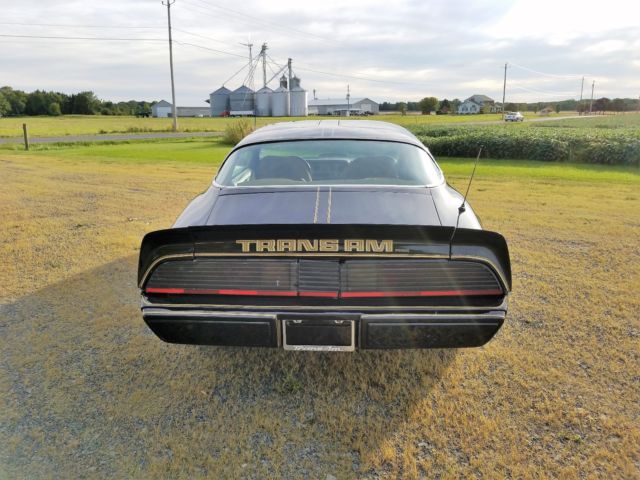 1979 Pontiac Trans Am - photo 7