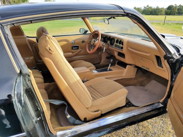 1979 Pontiac Trans Am - photo 8