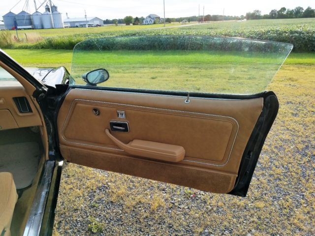 1979 Pontiac Trans Am - photo 9