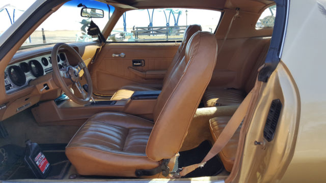 1979 Pontiac Trans Am - photo 12