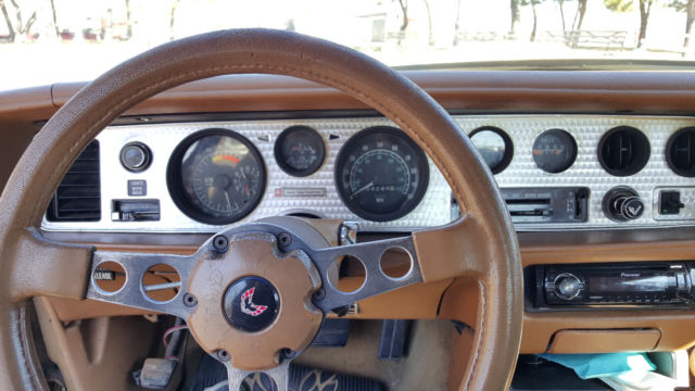 1979 Pontiac Trans Am - photo 13
