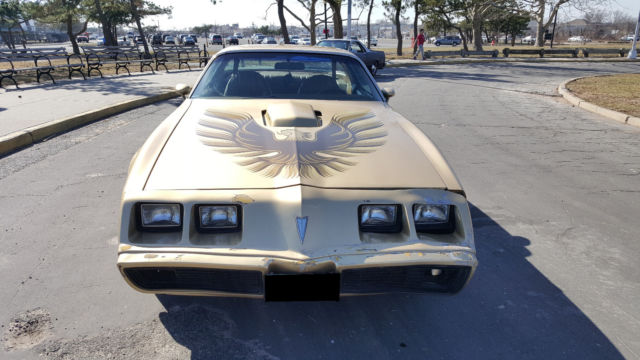 1979 Pontiac Trans Am - photo 2
