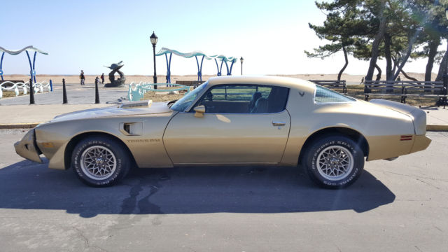 1979 Pontiac Trans Am - photo 8