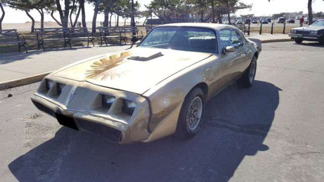 1979 Pontiac Trans Am - photo 9
