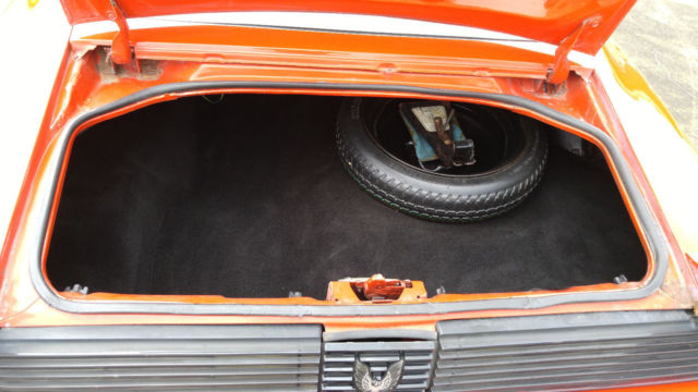 1979 Pontiac Firebird Trans Am - photo 10