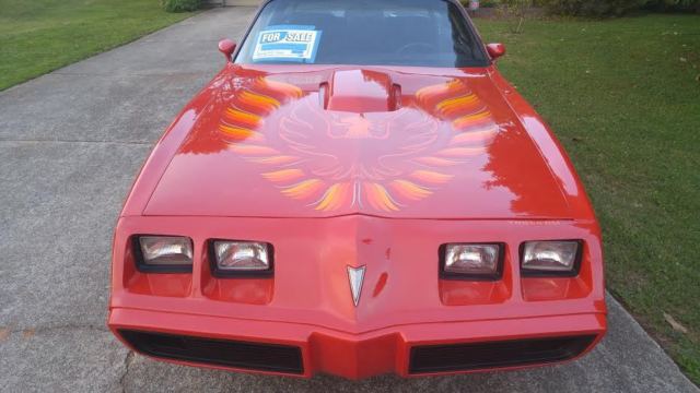 1979 Pontiac Firebird Trans Am - photo 5