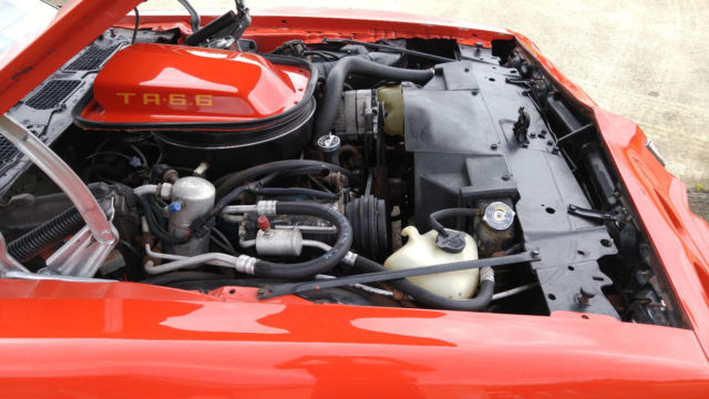 1979 Pontiac Firebird Trans Am - photo 9