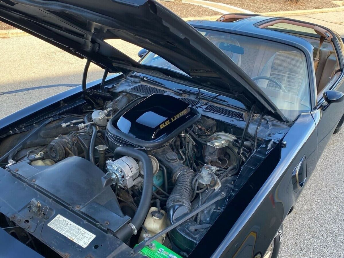 1979 Pontiac Trans Am WS4 T TOPS SMOKEY & BANDIT STARLIGHT BLACK - photo 8