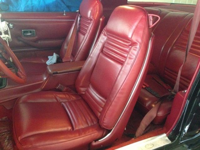 1979 Pontiac Trans Am WS6 - photo 6