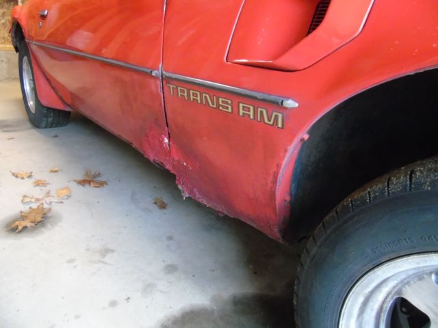 1979 Pontiac Trans Am - photo 13