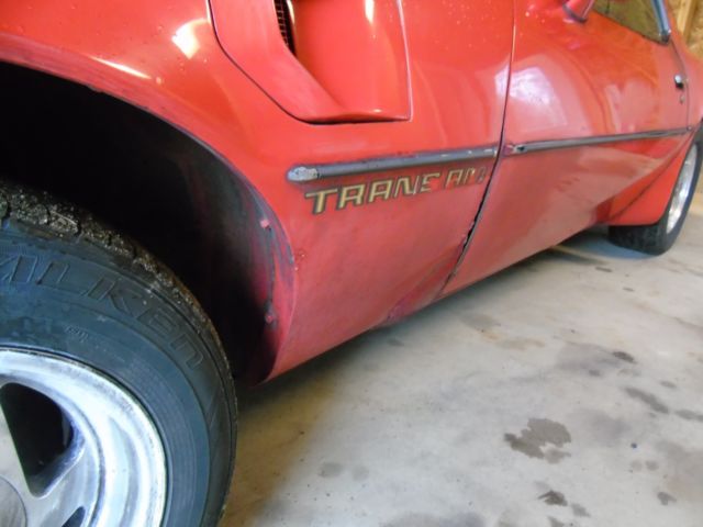 1979 Pontiac Trans Am - photo 3
