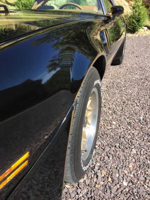 1979 Pontiac Trans Am - photo 12