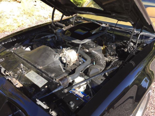 1979 Pontiac Trans Am - photo 13