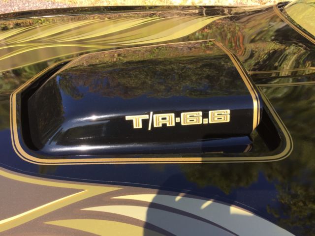 1979 Pontiac Trans Am - photo 3