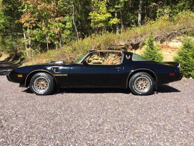 1979 Pontiac Trans Am - photo 4