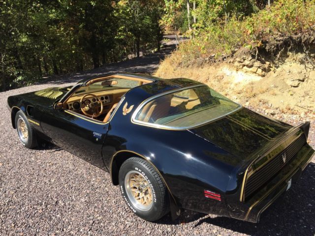 1979 Pontiac Trans Am - photo 6
