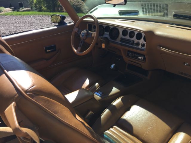 1979 Pontiac Trans Am - photo 7