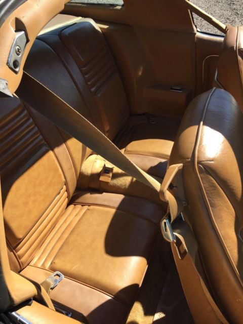 1979 Pontiac Trans Am - photo 8