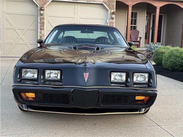 1979 Pontiac Trans AM WS6 WS6 - photo 2
