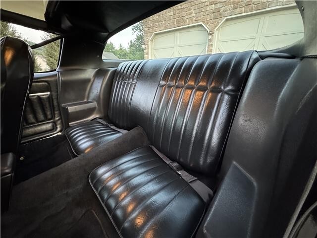 1979 Pontiac Trans AM WS6 WS6 - photo 7