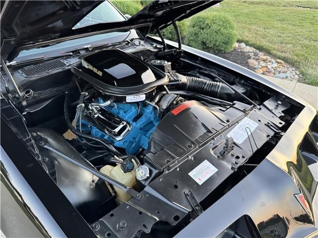 1979 Pontiac Trans AM WS6 WS6 - photo 8