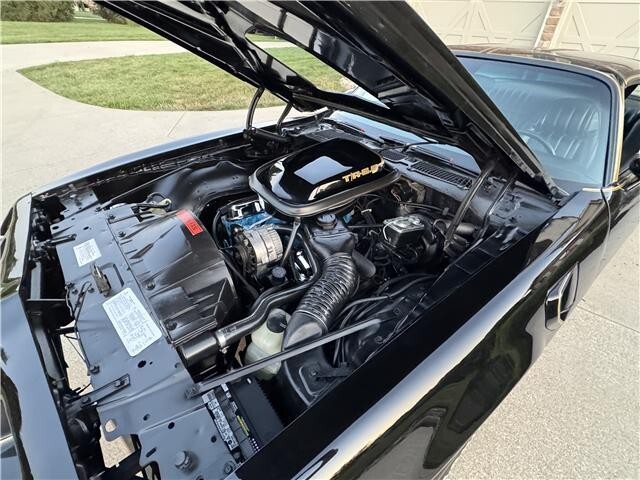 1979 Pontiac Trans AM WS6 WS6 - photo 9