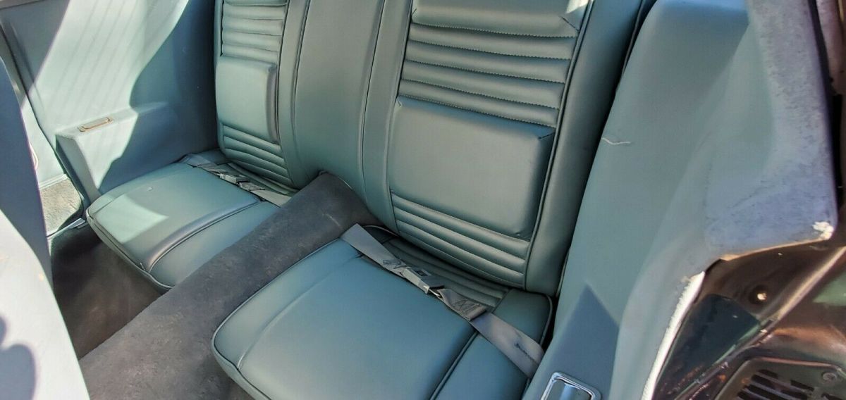 1979 Pontiac Trans Am - photo 11