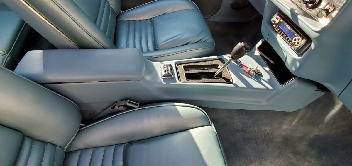 1979 Pontiac Trans Am - photo 8