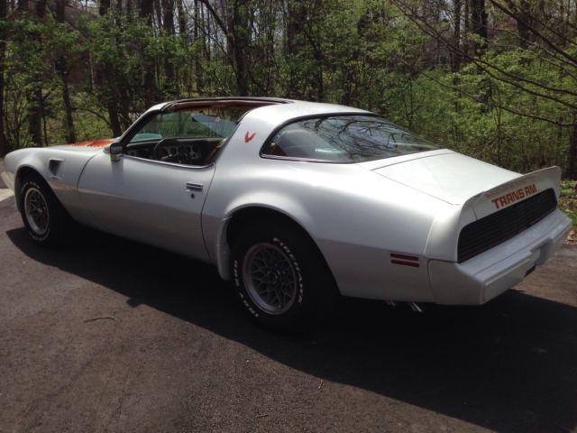 1979 Pontiac Trans Am WS6 - photo 6