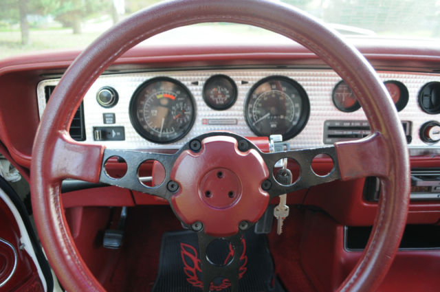 1979 Pontiac Trans Am TRANS AM - photo 10
