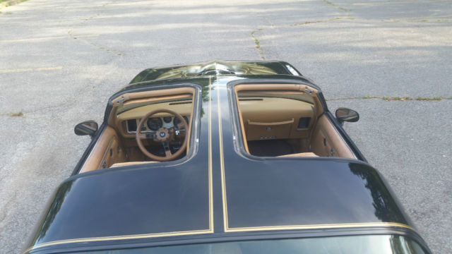 1979 Pontiac Trans Am WS6,W72 BANDIT CLONE - photo 10