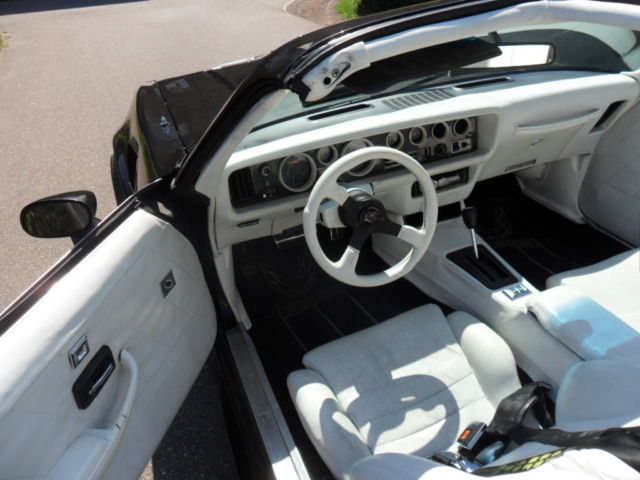 1979 Pontiac Trans Am Y84 Special Edition - photo 11