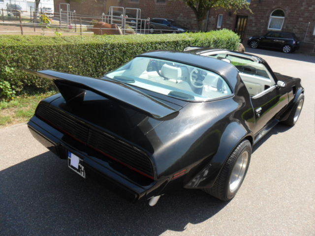 1979 Pontiac Trans Am Y84 Special Edition - photo 6