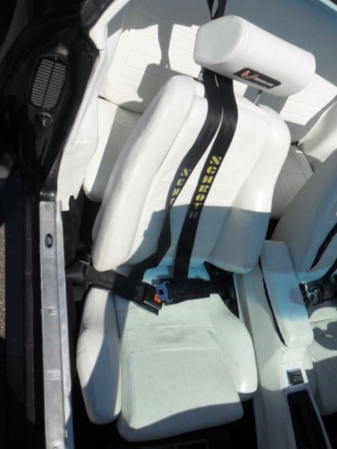 1979 Pontiac Trans Am Y84 Special Edition - photo 9